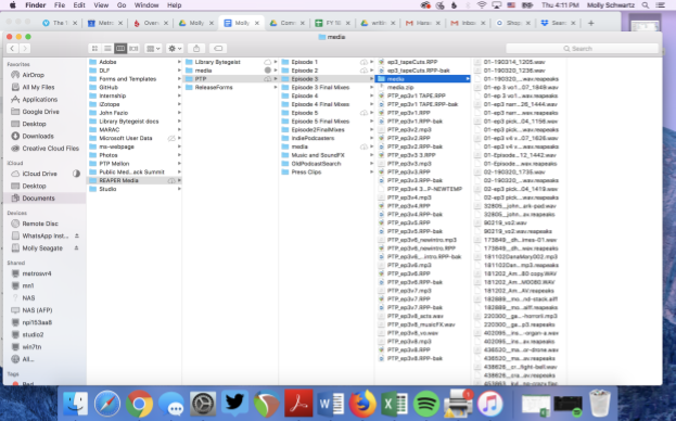Scereenshot of a Mac OS folder directory for Reaper audio workstation files